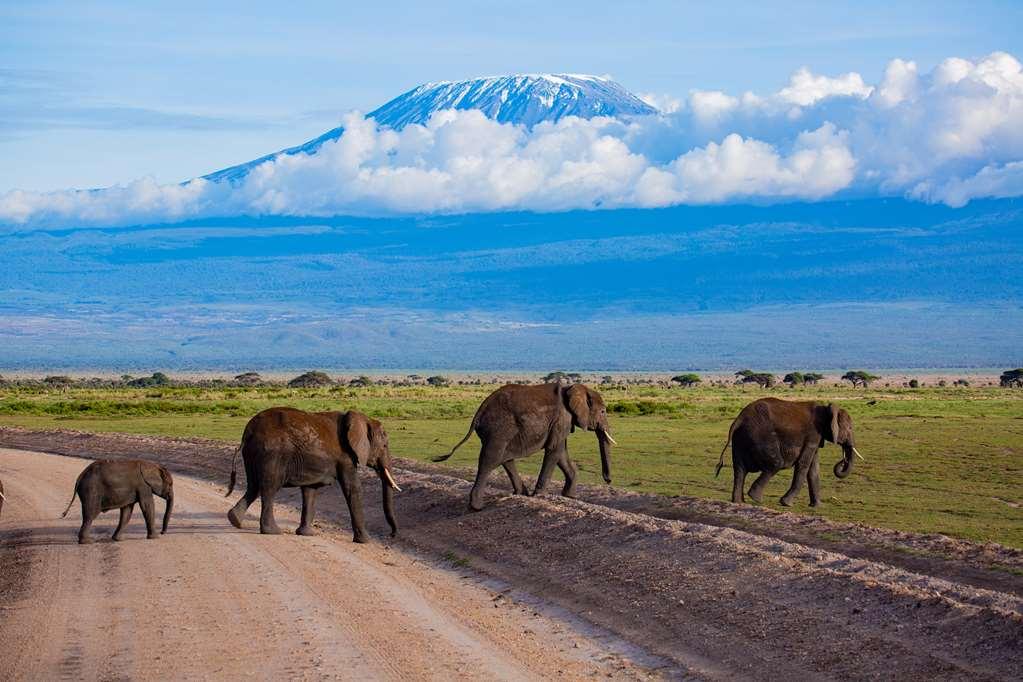 Amboseli Serena Safari Lodge Facilidades foto